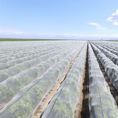 HDPE material net for agriculture anti-hail nets