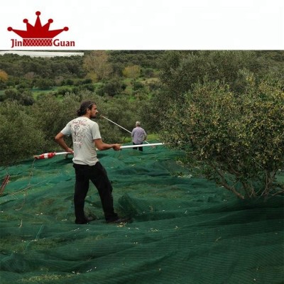 Green Color  plastic agriculture olive netting from China rete antispina olive harvest net