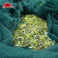 HDPE Olive net