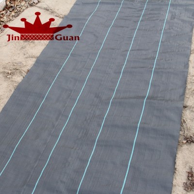 Plastic ground cover for weed control anti weed net agriculture weed mat